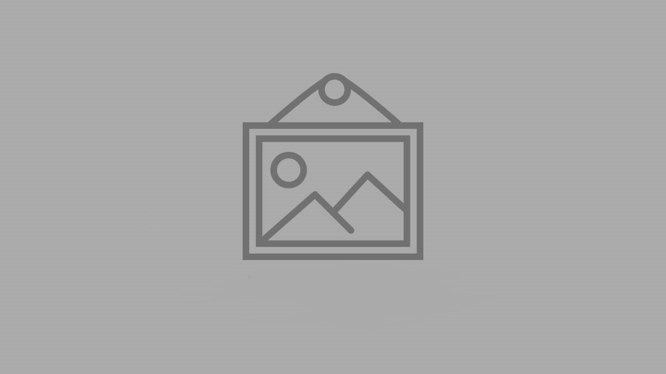 صادرات و واردات به ایران با شرکت آینده زرین